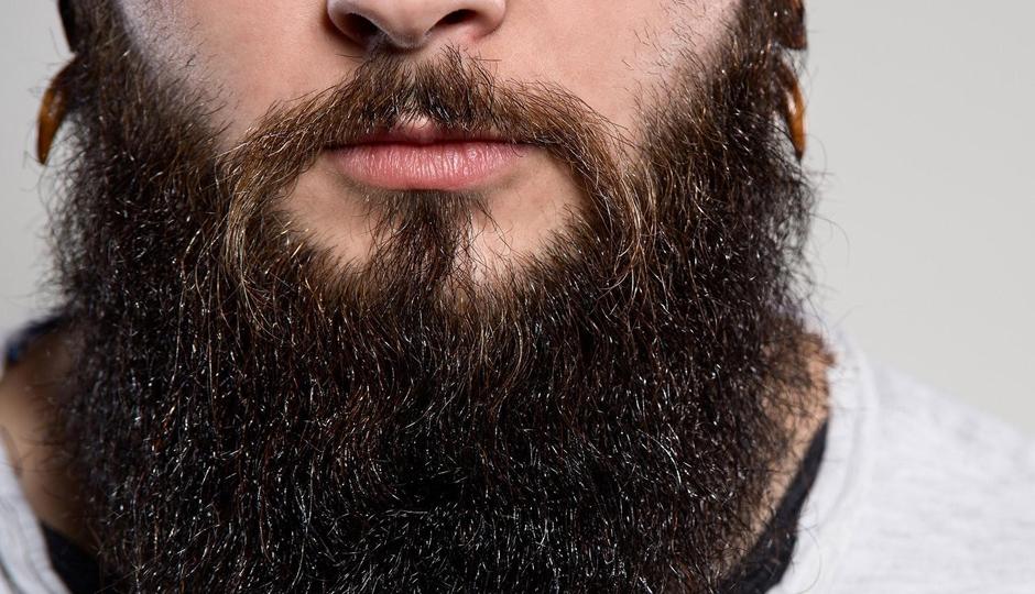 bear hair transplant